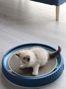 Dia 45.5cm Premium Cat Scratcher Turntable Bed with Teaser Toy Corrugated Paper Wear-Resistant