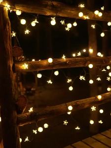 BEAUTY IN THE LIGHT | Solar Outdoor Decorative Lights Cherry Blossom Dandelion Atmosphere