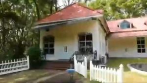 น้ำพู โซล่าเซลล์ 6 หัว ปั้มพลังงานจากแสงอาทิตย์ แถมหัวให้ผลกลางวัน ราคาที่ชัดเจน