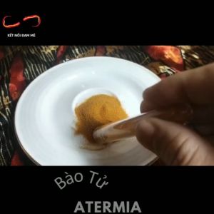 Artemia dạng Bào Tử - Tỉ lệ 100% - 75% độ đạm - Cam Kết Không Pha Vỏ Tôm - Xuất xứ U.S.A - 3gram