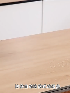 Kitchen Slide Style Egg Box Refrigerator Side Door Automatic Roller Egg Storage Box Plastic Material Home Use Egg Organizer