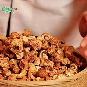 Agaricus Blazei Mushroom 姬松茸 巴西蘑菇 松茸鲜 蘑菇之王 200g Cendawan Agaricus/Brazilian Brazil Mushroom