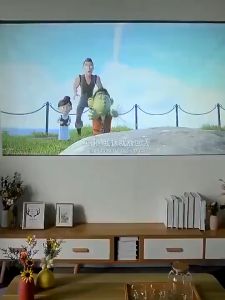 EXPOSE Projector Screen 4K 16:9 Frameless Portable Projector Screen 120 84 inches Home Theater Outdoors Movie Screen