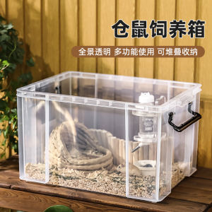 Gold Bear Cage Transparent Panoramic Breeding Farmhouse for Small Animals Rearing Cage Modern Style Storage Box
