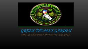 WILD PASSION FRUIT SEEDS