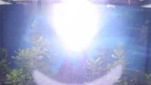 KUCHVZ Diving Headlamp Underwater Headlight Led Scuba head Flashlight Torch Waterproof IPX7 rechargeable Light