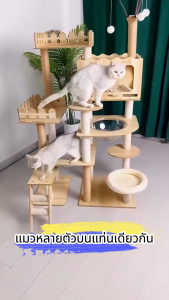 176CMไม้แมวคอนโดแมว คอนโดแมวไม้ บ้านแมว รวมถึงแคปซูลอวกาศโปร่งใสเหมาะสำหรับเลี้ยงน้องแมว 3-5ตัว เสาลับเล็บ ขนาดใหญ่ สูงคอนโดแมว ที่ลับเล็บแมว บ้านแมว คอนโดไม้ เสาลับเล็บ