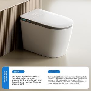 TEM | Smart Automatic Toilet with Foam Shield