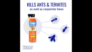 TERRO T1901SR READY TO USE INDOOR AND OUTDOOR CARPENTER ANT TERMITE AND CARPENTER BEE KILLER SPRAY