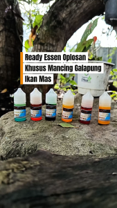 ESSEN OPLOSAN KHUSUS MANCING GALAPUNG IKAN MAS