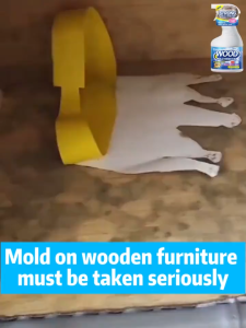 Mold Remover Spray Deep Mold Remover for Wood 500ML Anti-Mold Solution Safe for Wood Mold remover cleaner