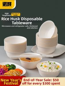 NUOXIAN | Disposable Food-Grade Eco-friendly Outdoor Dinnerware Set