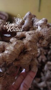 Lempuyang Segar 1 KG Murah & Berkhasiat
