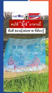 (ขายดี) Net2u มุ้งกันยุง มุ้ง 4ฟุต นอน1คน ต่อชายผ้าโพลี ยี่ห้อซากุระ Netto ต่อชายด้วยผ้าโพลี คละลาย