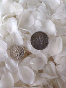 〔1kg〕深海野生龙趸鱼鳞片Wild deep-sea giant grouper scales