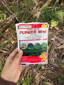Thuốc trừ cỏ Purger số 1 hiện tại thời gian lưu dẫn đến 2 tháng