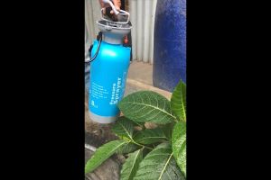 Botol Sprayer 8 Liter: Alat Semprotan Penyiram Tanaman & Semprotan Hama