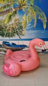 แพยางเป่าลม ฟลามิงโก้ 142x97Cm งานกล่อง A0878