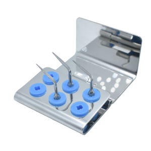 Dental Scaler Tip Holder Endo File Disinfection Storage Box Organizer Autoclave Sterilizer Case Dentistry Equipment