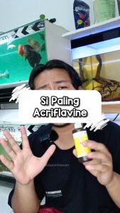 Obat Ikan ACRIFLAVINE Cair 100ml Antibiotik Virus Jamur Velvet White Spot Arwana Anti Biotik HCL BPC