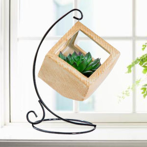 Northern European-Style Succulent Ceramic Flower Pot Iron Art Chlorophytum Pot Creative Personalized Desktop Ornaments Bonsai Simulated Plants