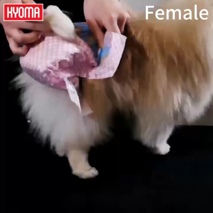 Pet Dog Diapers Absorption Dog Diaper Comfortable Pet Diaper Female/Male Full Wrap Pet Pee Pads XXS XS S M L XL 12PCS