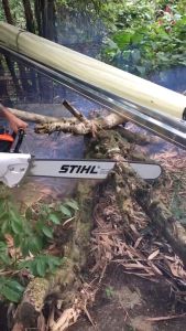 【From Germany】STHIL 36 Inches portable Chainsaw 070 20‘’/24‘’/36‘’ Saw Original Power Saw big chainsaw High Power