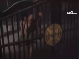 USB 西游记中港大配套 Journey to the West 1996 Cantonese 齐天大圣 粤语中字 Hong Kong HK Classic Drama 经典港剧 张卫健 陈浩民 六小龄童