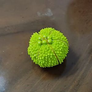 Simulation Durian Cooking Fun Kitchen Toys for Children Pretend Play Cutting Toys Food Sensory Games Educational Kids