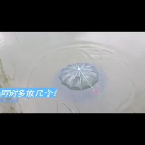 มุ้งดักปลา ตาข่ายดักปลาแบบ 4 6 8 10 ช่อง มุ้งดักกุ้ง กระชังดักปลา อุปกรณ์ตกปลา อวนจับปลา ที่ดักกุ้งฝอย แหจับปลา