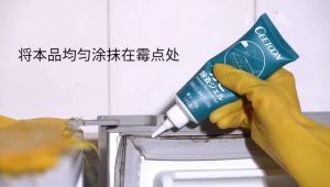 HOMEBOX 🇸🇬 Japan CEETOON Mildew Remover Gel Kitchen Toilet Furniture Mold Remover Deep Cleansing