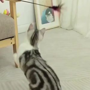 Tongkat Tikus Mainan Kucing Bulu Warna Dengan 7 Warna Stick Interaktif Cat Toys Mainan Lucu Kucing