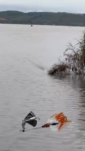 บัสเบท โดรก้อนบัสเบท น้าโต้ พัทลุง ขนาด 13 ซม.น้ำหนัก 20 กรัม เบ็ดเบอร์ 6/0 ใบสแตนเลส ตกปลา เหยื่อตกปลา เหยื่อปลอม กบยาง