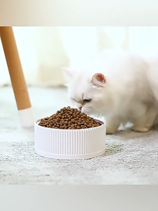 อาหารแมวอบที่อุณหภูมิต่ํา แมวโตปราศจากธัญพืช เต็มรูปแบบราคาไก่ธรรมชาติ