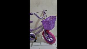 DISKON Sepeda Anak Perempuan Happy Bunny 12 Inch Ban Eva