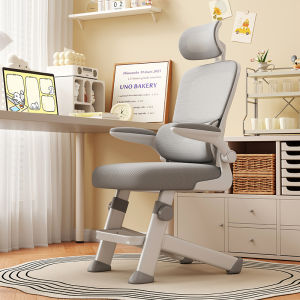 Ergonomic Height Adjustable Computer Desk Chair for Middle School Students Home Use Children Study Chair Writing Chair