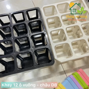 KCN12OV - Khay nhựa 12 ô vuông đặc biệt đáy khay thiết kế liền đáy tiện di dời ( không kèm chậu )