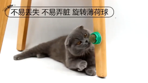 แคทนิปบอลแมวเลีย แปะกำแพง ผงแคทนิป กัญชาแมว 100% ปลอดภัย