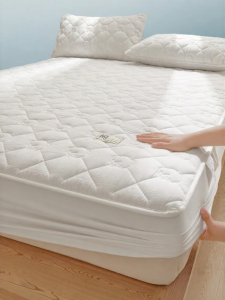 SHAYA | 100 Xinjiang Cotton Quilted Bed Protector 3PC Set