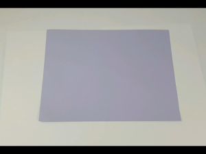 IQ Bio Top 8.5 x 11 10 Sheets Weight: 80 gsm Color Flamingo Size: 8.5 x 11 - BIOTOP Colored Board Papers