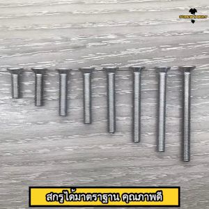 น็อต สกรู หัวเตเปอร์ แฉก F+ สแตนเลส 304 เกลียวมิล หยาบ M1 M1.2 M1.4 / Flat Head Phi Machine Screw SUS304 M1 M1.2 M1.4