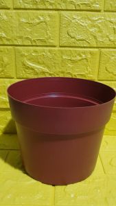 1 Piece– Premium Quality Orange Plastic Pot (Ht. 6 Inches Opening 7.5 inches) [Stock Code: No. 8 ] with Philodendron Temptation 2 to 3 leaves with roots