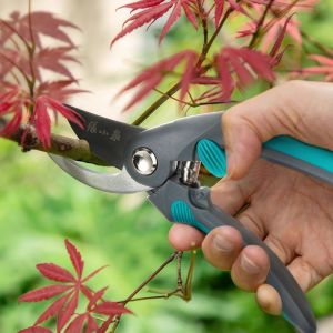 Zhang Xiaoquan | Labor-saving Pruning Shears for Gardens and Orchards
