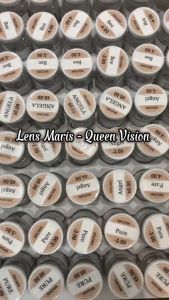 🎊Lens BEE BROWN - QUEEN VISION