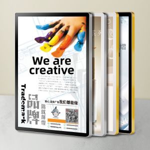 Magnetic and Aluminum Poster Frame