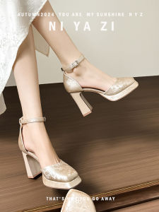 New National Style Single Shoes with Buckle Hollow out Square Head High Heels Waterproof Platform for Women Autumn Fashion