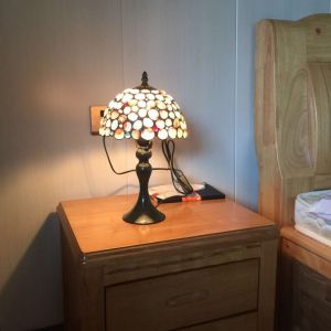 American and European Style Pastoral Bedroom Bedside Lamp Rose Classical Dimmable Retro Study Glass Creative Table Lamp