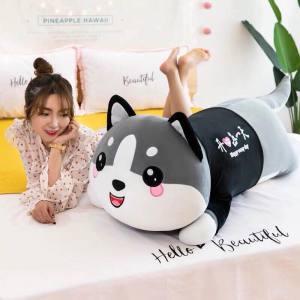 GẤU BÔNG MÈO MẶT TRÒN MÁ HỒNG MÈO ALASKA VẢI MINISO LÔNG MỊN CAO CẤP GIÁ RẺ