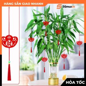 6 Dây treo Tài Lộc trang trí Tết Năm mới