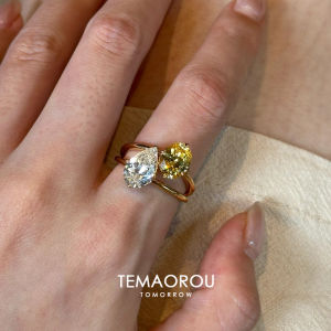 Double Diamond Titanium Steel Ring Elegant Luxury Long-Wearing Colorful Fashion Jewelry Symbol Pattern for Women